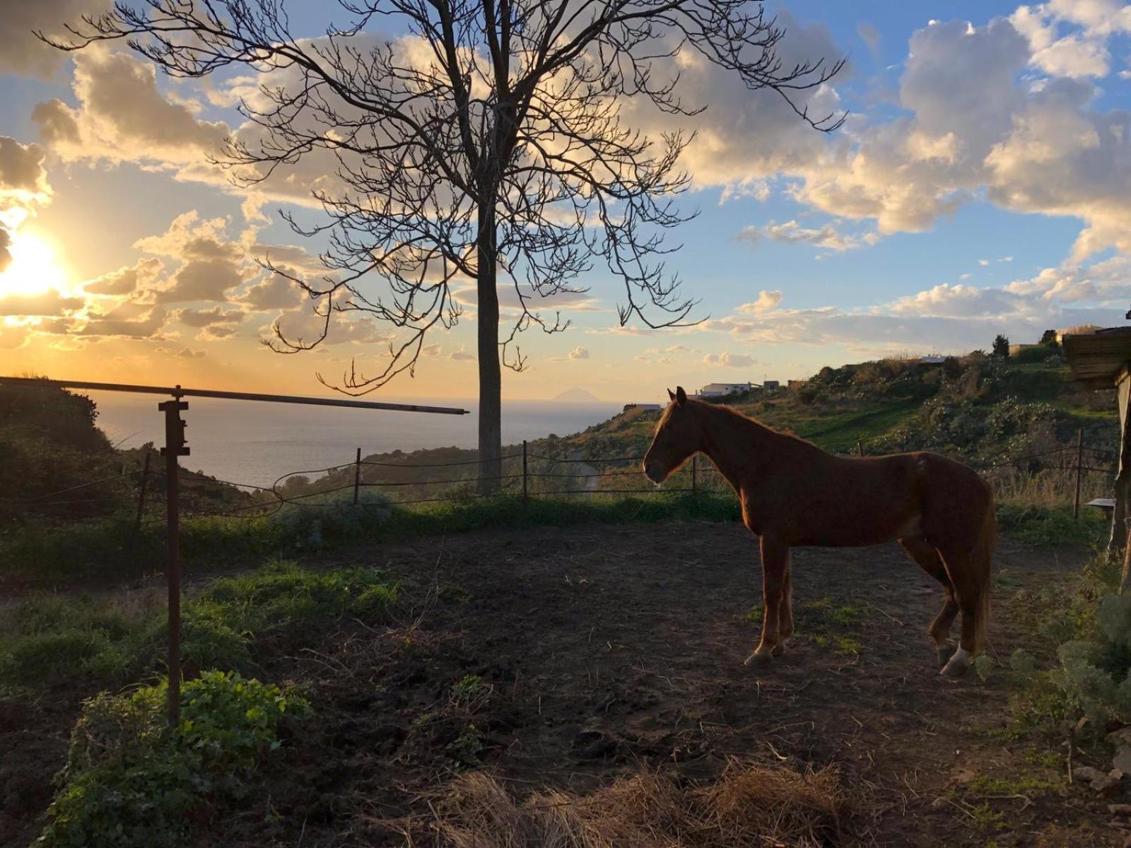 Agriturismo U Zu Peppino 利帕里 外观 照片