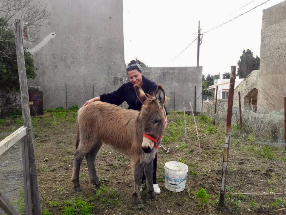 Agriturismo U Zu Peppino 利帕里 外观 照片