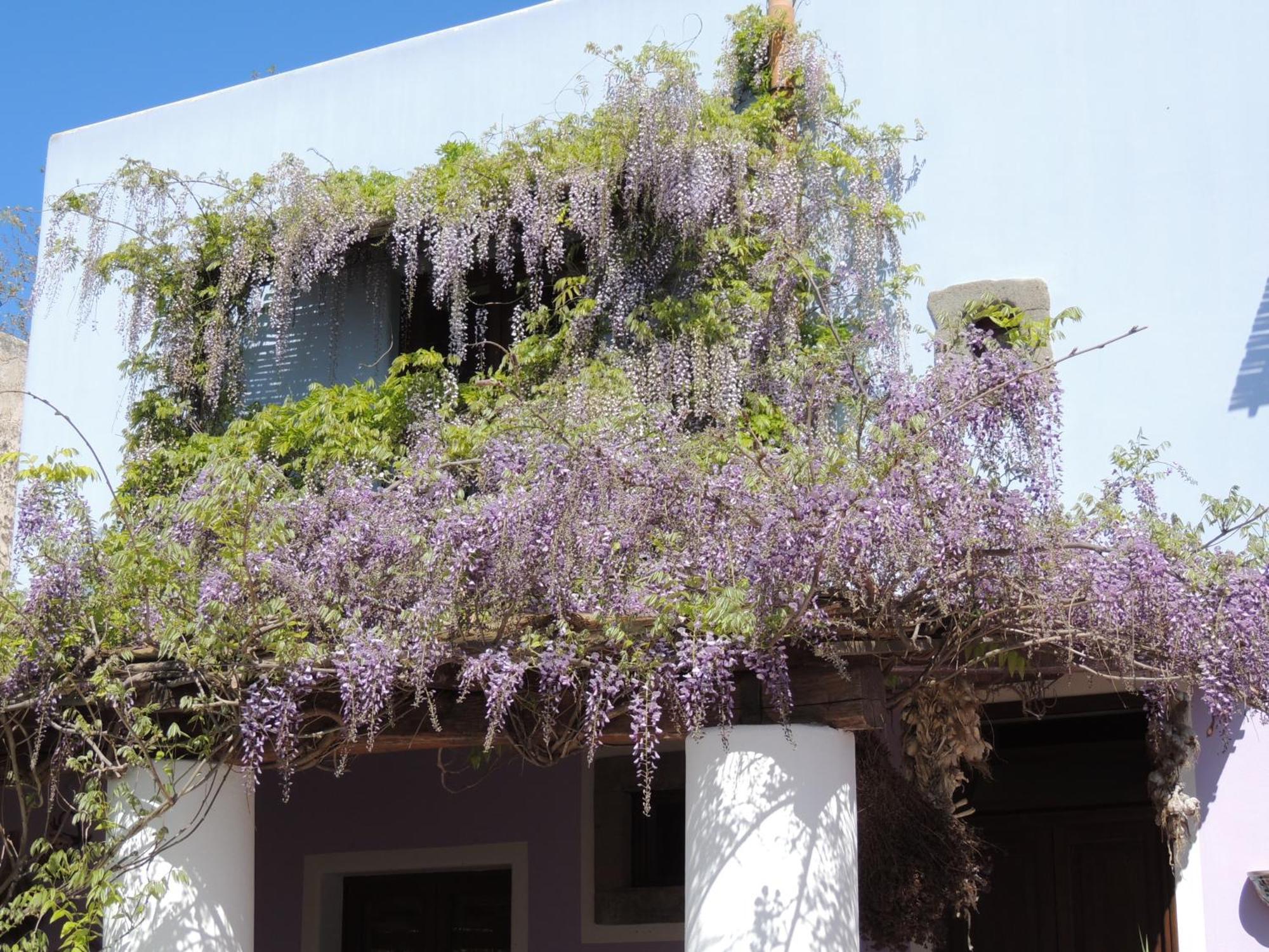 Agriturismo U Zu Peppino 利帕里 外观 照片
